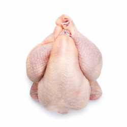 Whole Baby Chicken Whole Baby Chicken